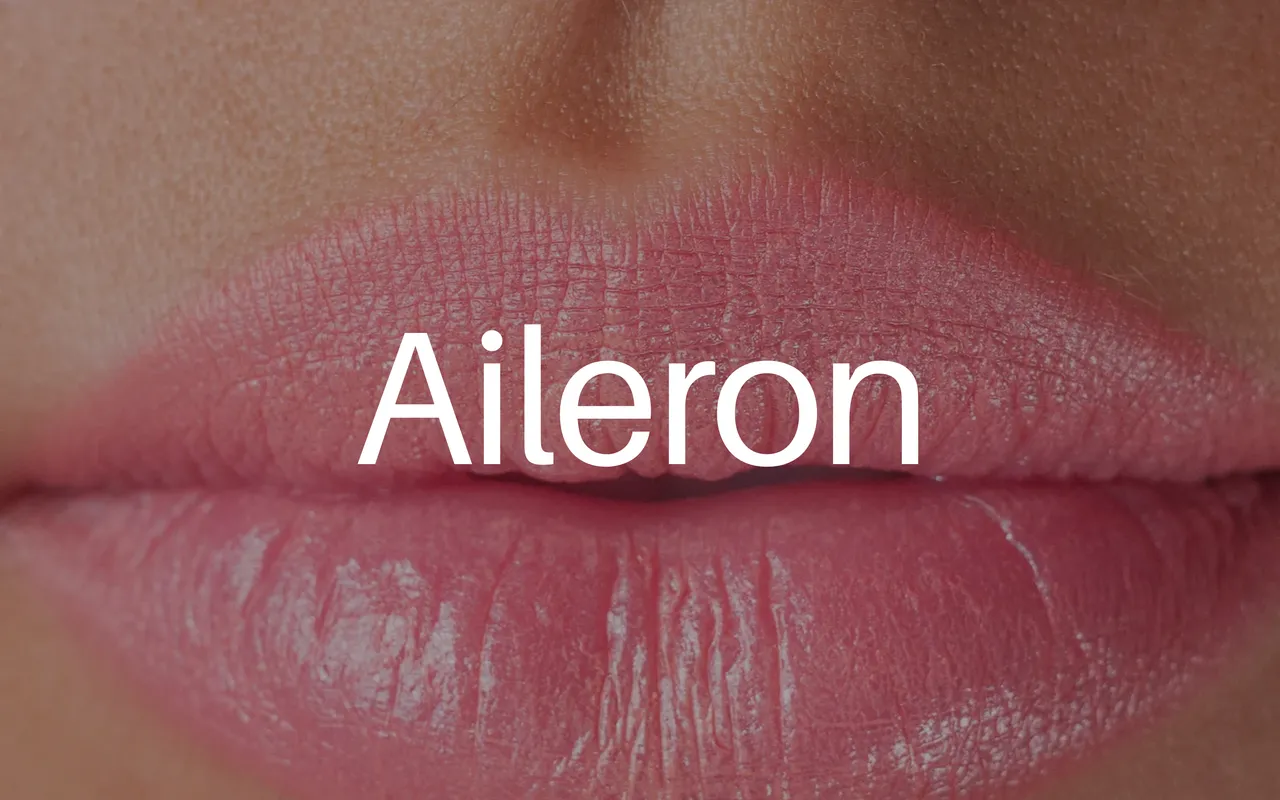 Aileron specimen from Open Foundry