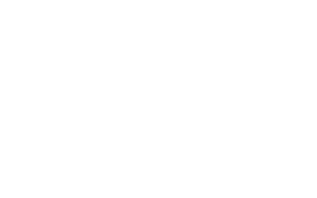 Stanley specimen from Optimo