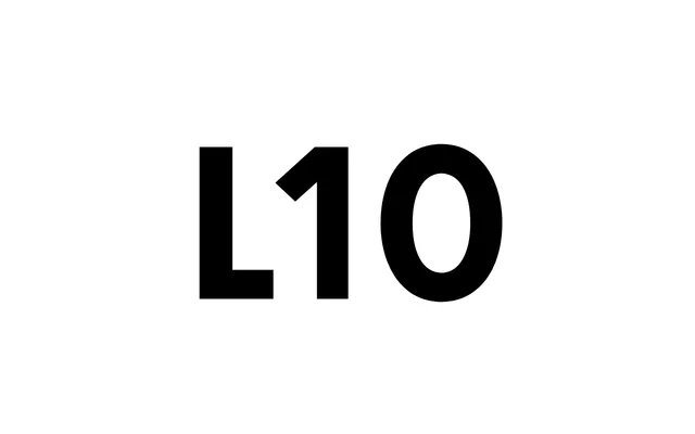 L10 specimen from Or Type