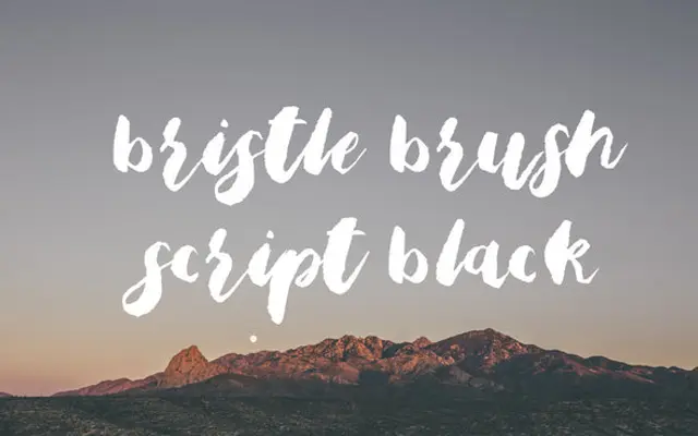 Bristle Brush Script Black specimen from Out of Step Font Company