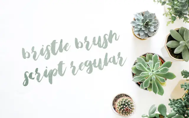 Bristle Brush Script Regular specimen from Out of Step Font Company
