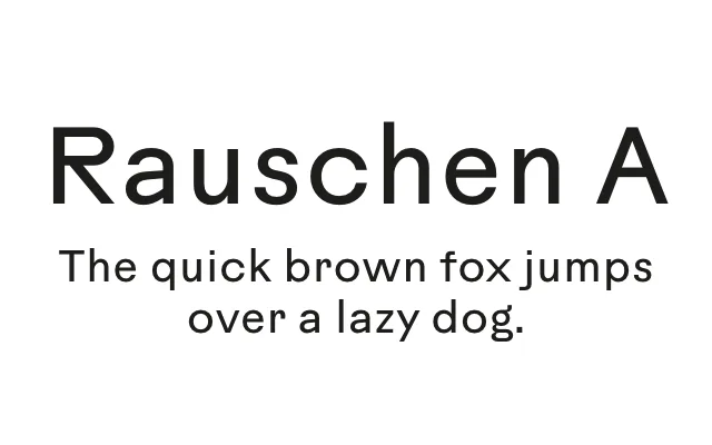 Rauschen A specimen from Out of the Dark