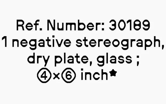 Neureal specimen from Outline Online