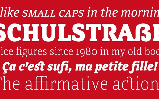 Directa Serif Variable specimen from Outras Fontes