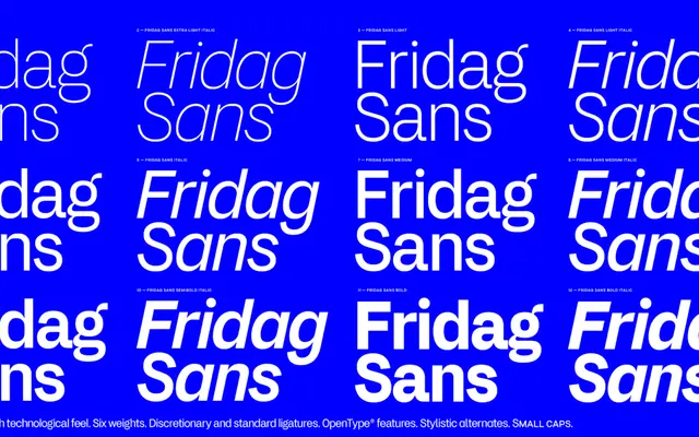 Fridag Sans specimen from Paavola Type