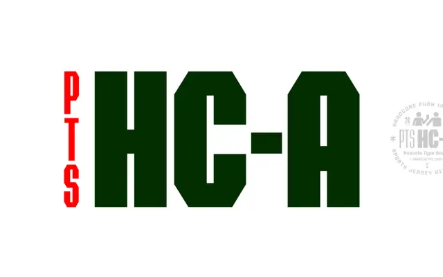 PTS HC-A specimen from Paavola Type