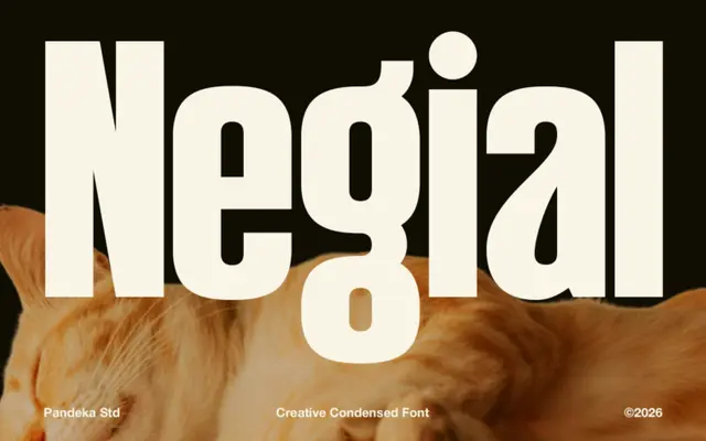 Negial specimen from Pandeka Studio