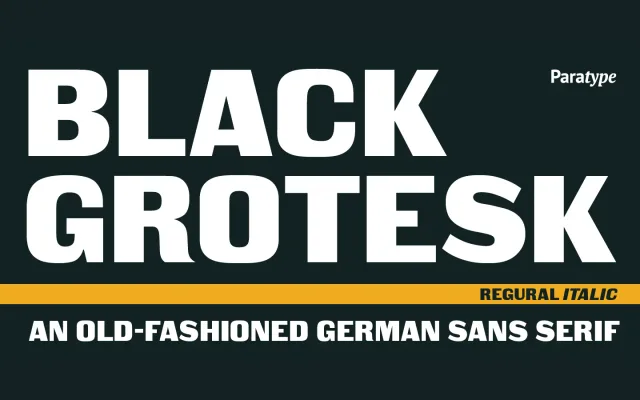 Black Grotesk specimen from ParaType