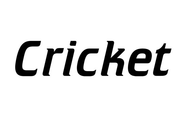 Cricket specimen from ParaType