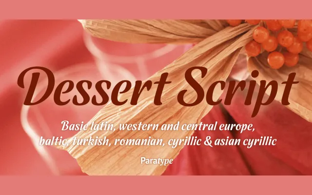 Dessert Script specimen from ParaType