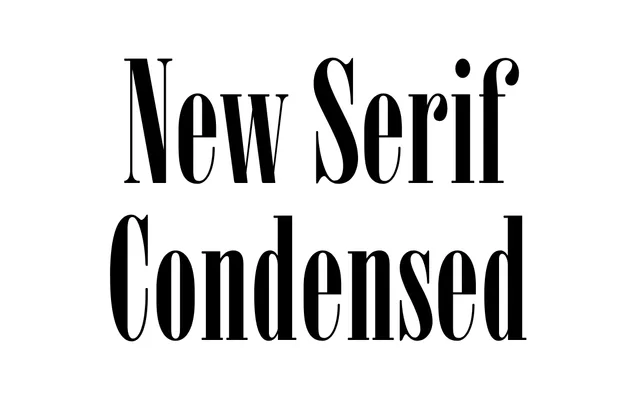 New Serif Condensed specimen from ParaType