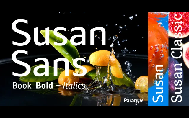 Susan Sans specimen from ParaType