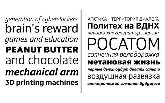 Yefimov Sans specimen from ParaType