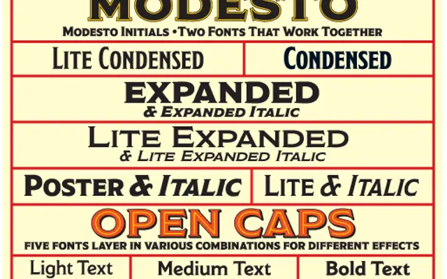Modesto specimen from Parkinson Type Design