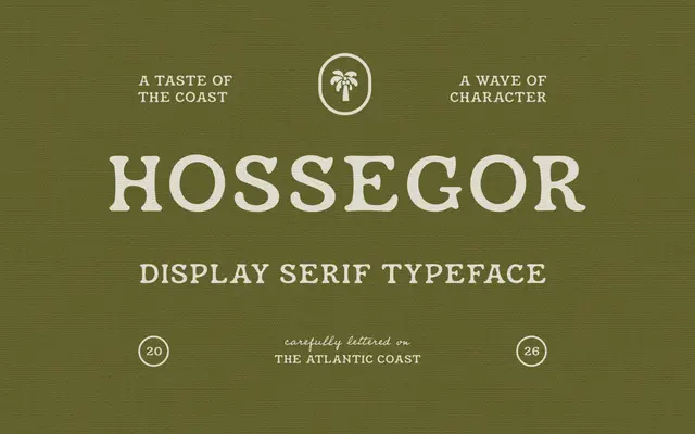 Hossegor specimen from Pixelbuddha