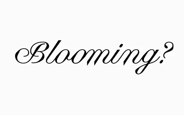Business Blooming specimen from Pizza Typefaces