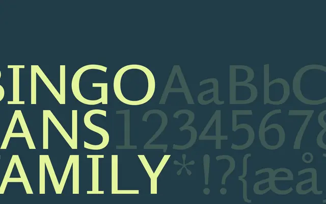 Bingo Sans specimen from Playtype