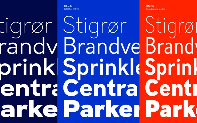 DS 737 Condensed specimen from Playtype