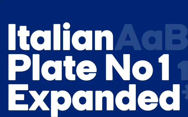 Italian Plate No1 Expanded specimen from Playtype