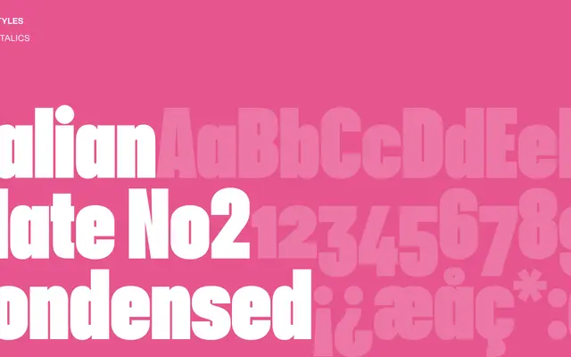 Italian Plate No2 Condensed specimen from Playtype