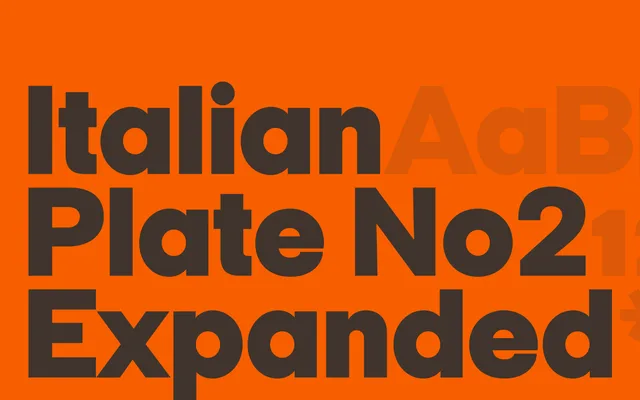 Italian Plate No2 Expanded specimen from Playtype