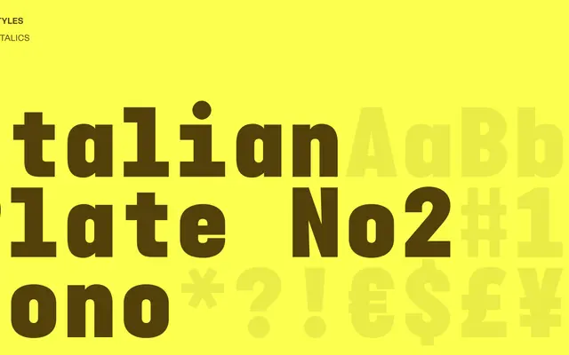 Italian Plate No2 Mono specimen from Playtype