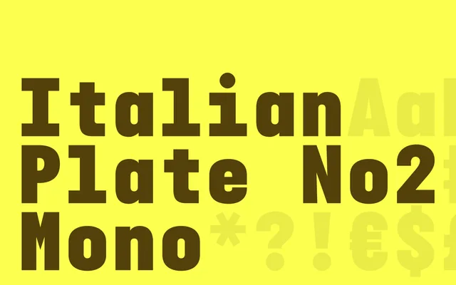 Italian Plate No2 Mono specimen from Playtype