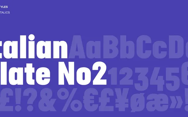 Italian Plate No2 specimen from Playtype