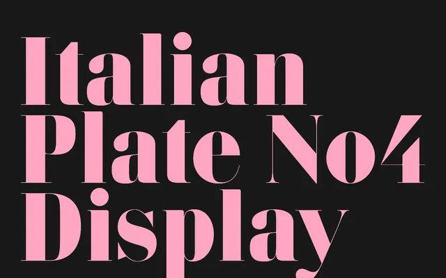 Italian Plate No4 Display specimen from Playtype