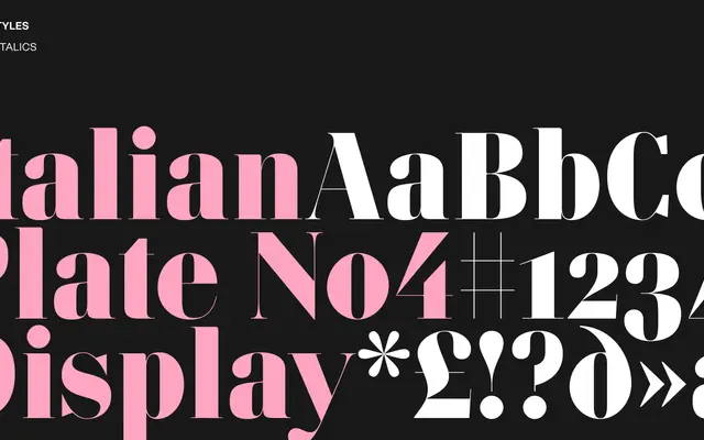Italian Plate No4 Display specimen from Playtype