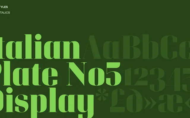 Italian Plate No5 Display specimen from Playtype