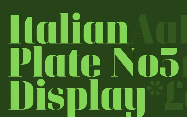 Italian Plate No5 Display specimen from Playtype