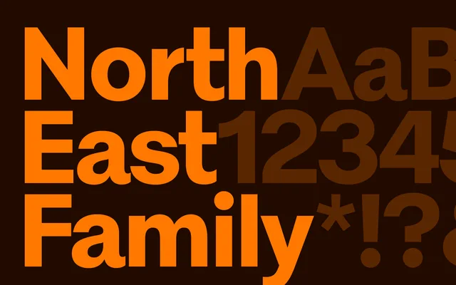 North East specimen from Playtype