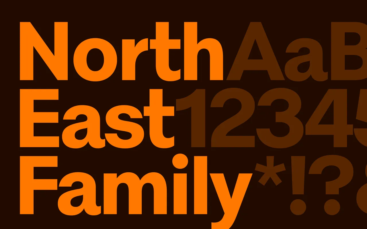 North East specimen from Playtype