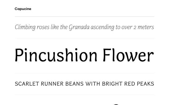 Capucine specimen from Process Type Foundry
