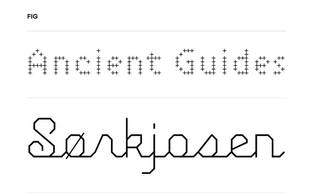 FIG specimen from Process Type Foundry