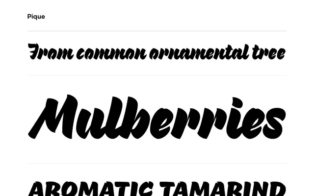 Pique specimen from Process Type Foundry