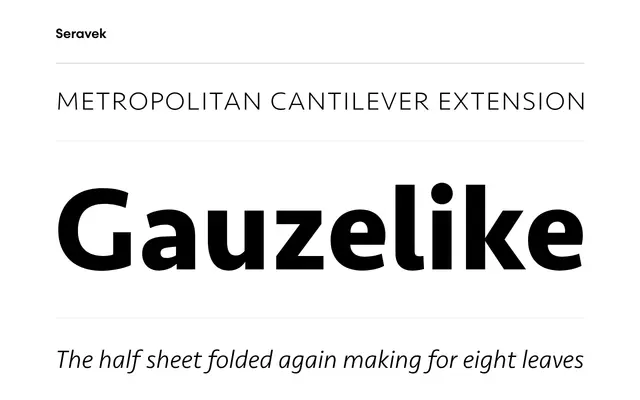 Seravek specimen from Process Type Foundry