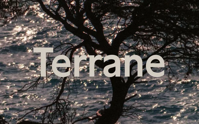 Terrane specimen from Production Type