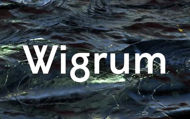Wigrum specimen from Production Type