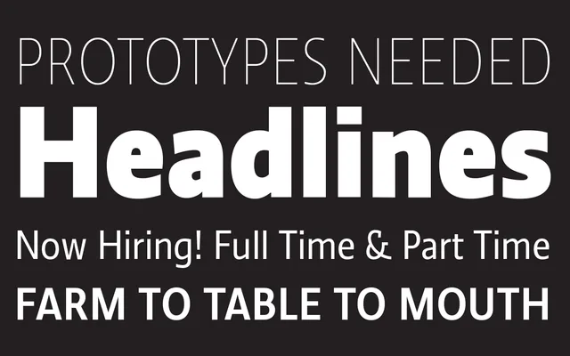 Ratio Display specimen from PS Type Lab