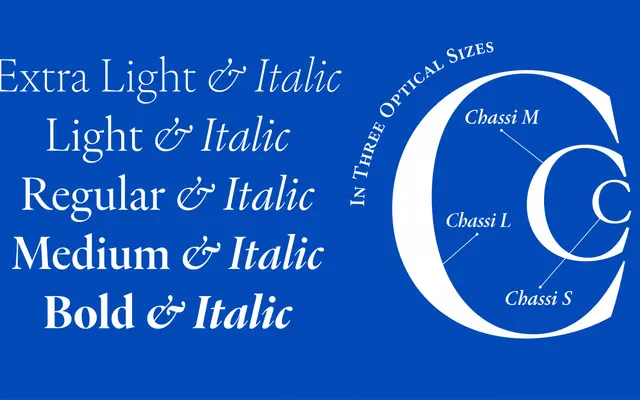 Chassi L specimen from R-Typography
