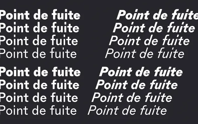 Gineto specimen from R-Typography