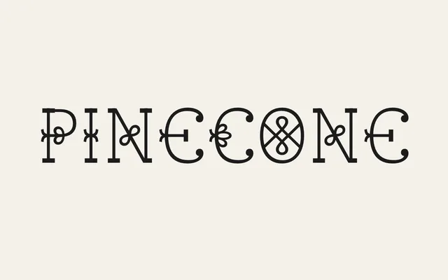 Pinecone specimen from Rain Foundry