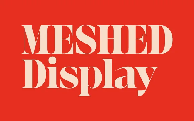 Meshed Display specimen from Rajesh Rajput