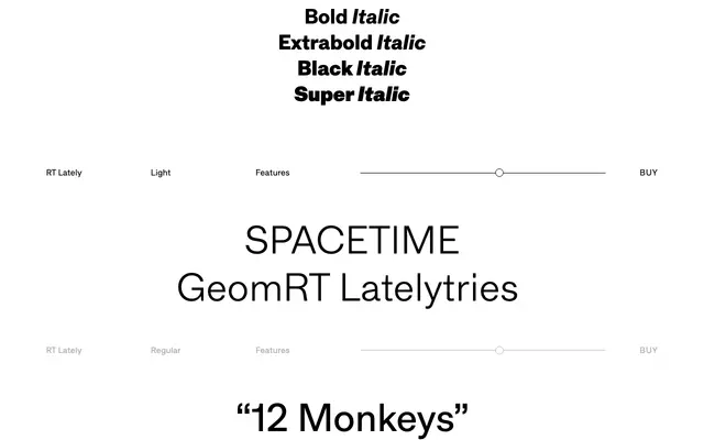 Razzia Type