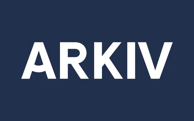 Arkiv specimen from Regular Bold Italic