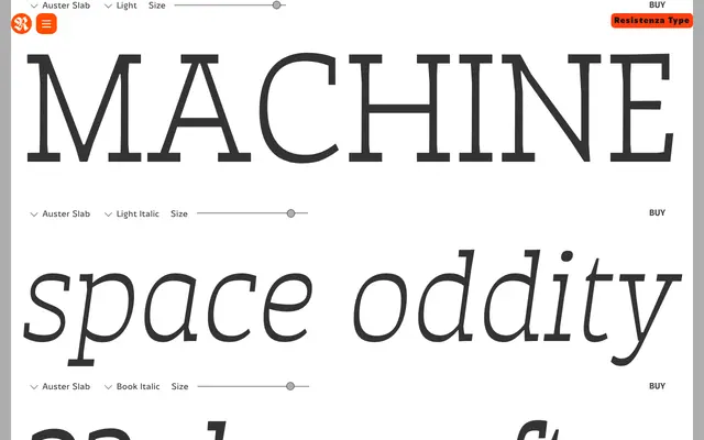 Auster Slab specimen from Resistenza Type