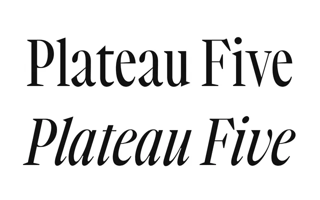 Plateau Five specimen from Road to Venice Type