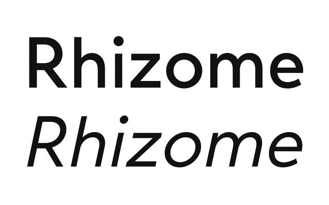 Rhizome specimen from Road to Venice Type